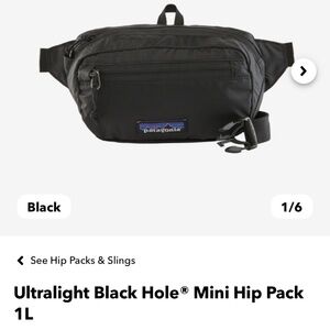 Patagonia Black Fannie Pack